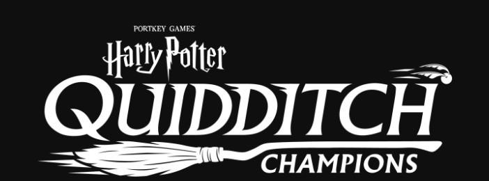 Harry Potter : Quidditch Champions